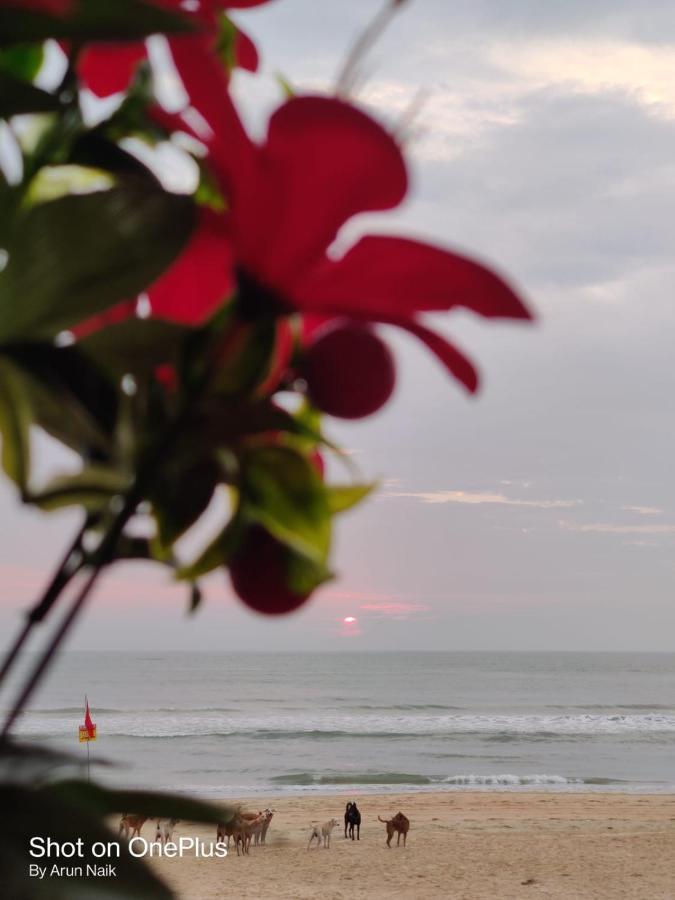 Happy Shack Beach And Wooden Huts Colva Extérieur photo